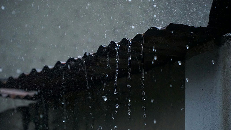 Hay al menos 500 viviendas afectadas por la lluvia en Chihuahua 