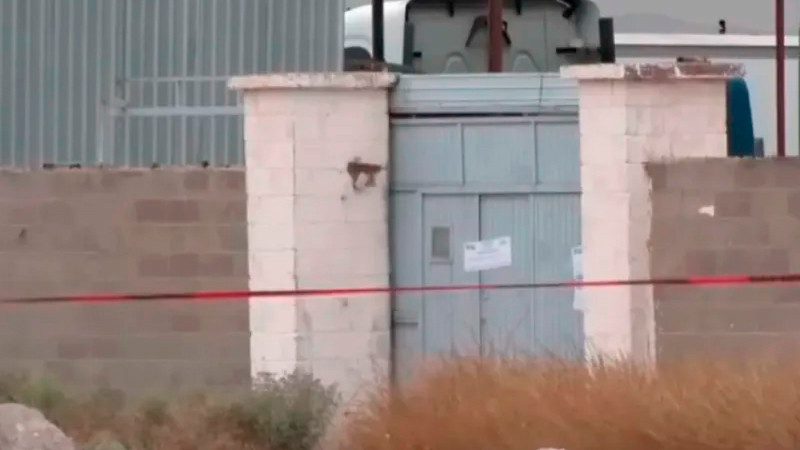 ONU-DH pide "investigación eficaz" sobre hallazgo de 383 cuerpos en crematorio de Chihuahua 