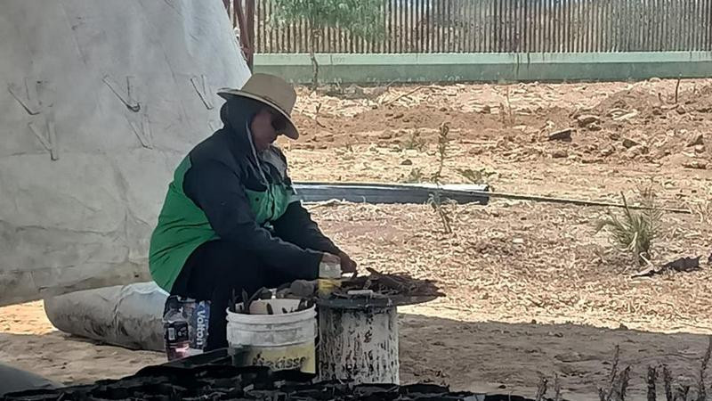 Gobierno de Morelia apuesta por el fortalecimiento ambiental, con nuevo vivero municipal 