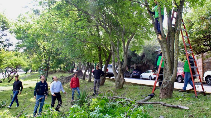 Gobierno de Morelia inicia semana con jornada de limpieza en Av. Fray Antonio de San Miguel 