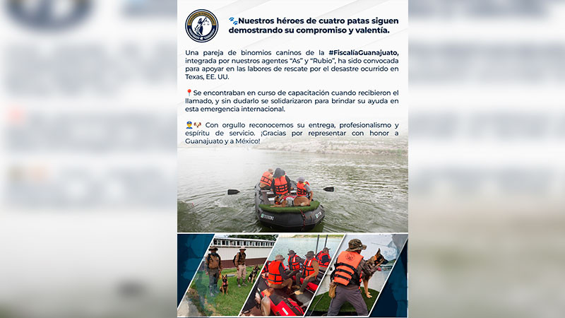 Gobierno de EE. UU. convoca a binomios caninos de Guanajuato para labores de rescate en Texas 