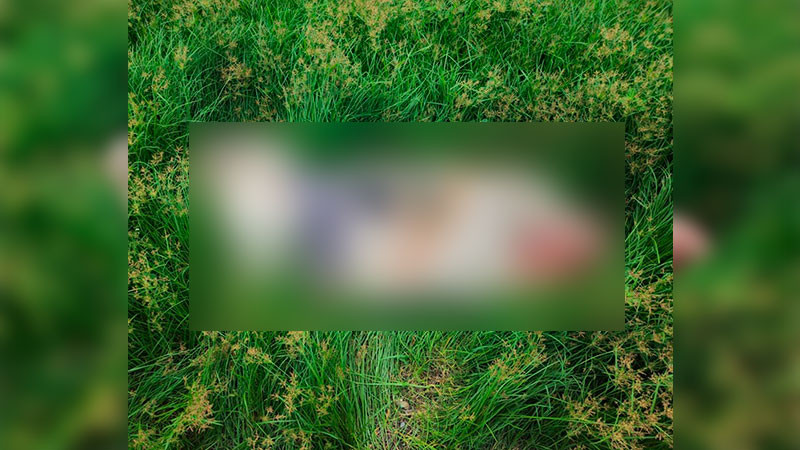 Hallan cadáver encobijado en Apatzingán, Michoacán 