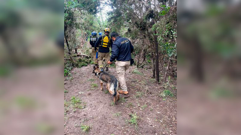 Apoya la Unidad K9 de la FGE Michoacán en búsqueda de personas en Texas, EUA 