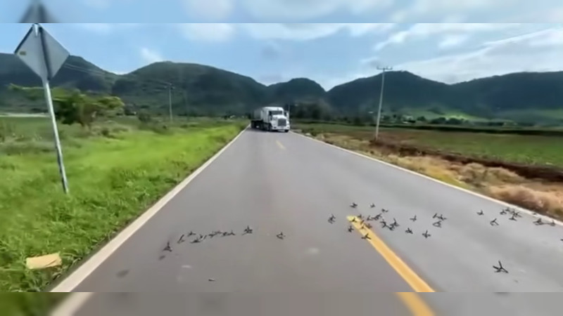 Choque armado paraliza carretera La Cantera – Tingüindín, Michoacán: Bloquean caminos con camiones y ponchallantas 