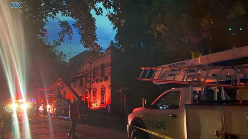 Joven sufre descarga eléctrica tras caer un árbol de 15 metros en la CDMX 