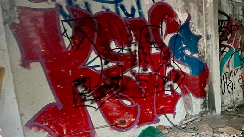 Van más de 180 detenidos por grafitis en el municipio de Querétaro 