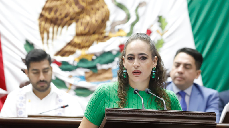 Propone Sandra Arreola cerrar el paso a la impunidad ambiental en Michoacán 