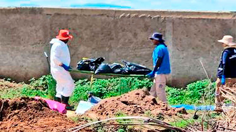 Continúa aumentando el número de bolsas con restos humanos encontradas en Zapopan, Jalisco; suman 235 bolsas 