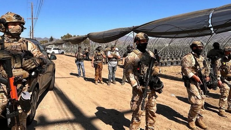 Claudia Sheinbaum adelanta detención de 355 mexicanos tras redadas en Estados Unidos 