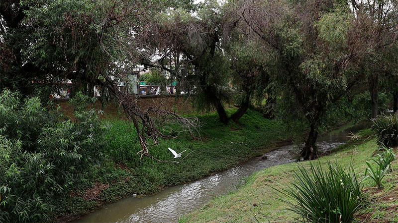 Gobierno de Morelia recupera la imagen urbana del parque lineal del Río Chiquito 