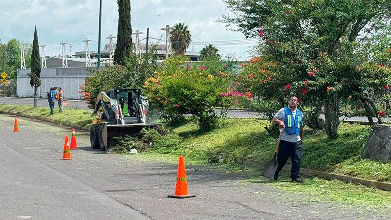 Embellecen accesos de Morelia con jornada de limpieza integral en la avenida Miguel Hidalgo 