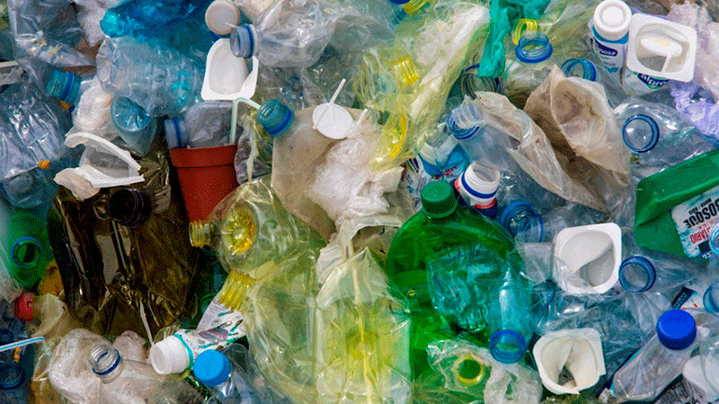 Sancionarán con cárcel a quienes tiren basura en vía pública en Tapachula, Chiapas 
