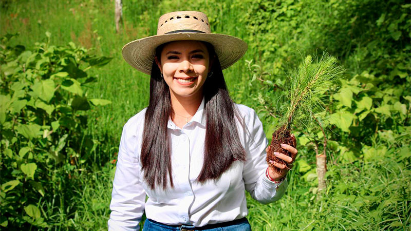 Más de 2 mil pinos plantados en Queréndaro: Diana Caballero  