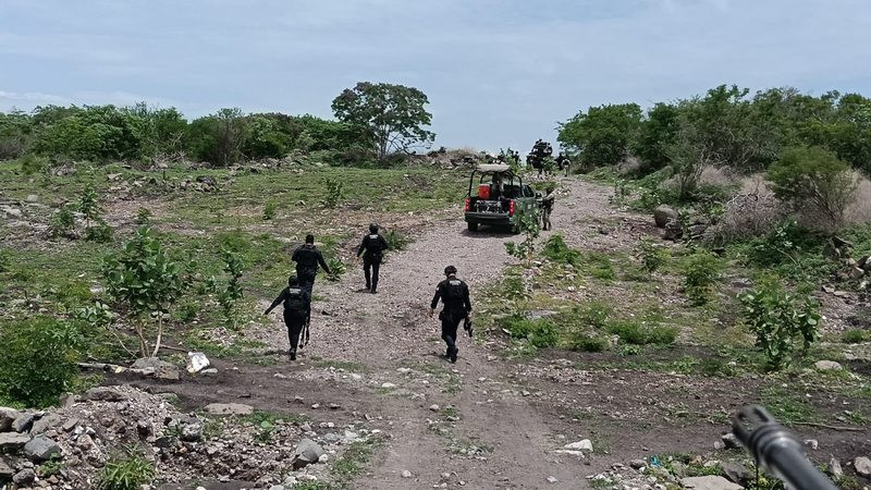 Regidora de Apatzingán pide auxilio para familias ante enfrentamientos en El Guayabo 