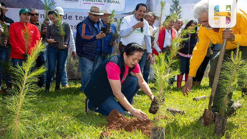 Jeovana Alcántar arranca temporada de Reforestación 2025 en Ciudad Hidalgo, Michoacán 
