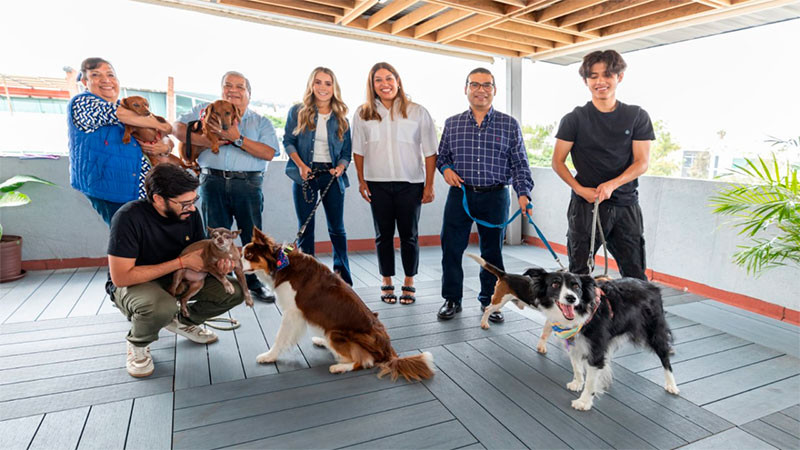 “Una sociedad que cuida a los animales es una sociedad más empática, más justa y más sensible"; afirmó Martín Arango García 
