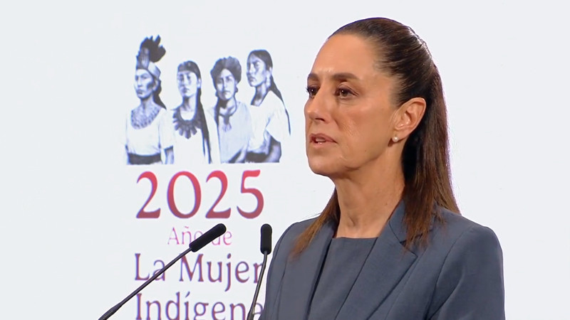 Es un "exceso" la sentencia a ciudadana por Caso Dato Protegido, considera Sheinbaum 