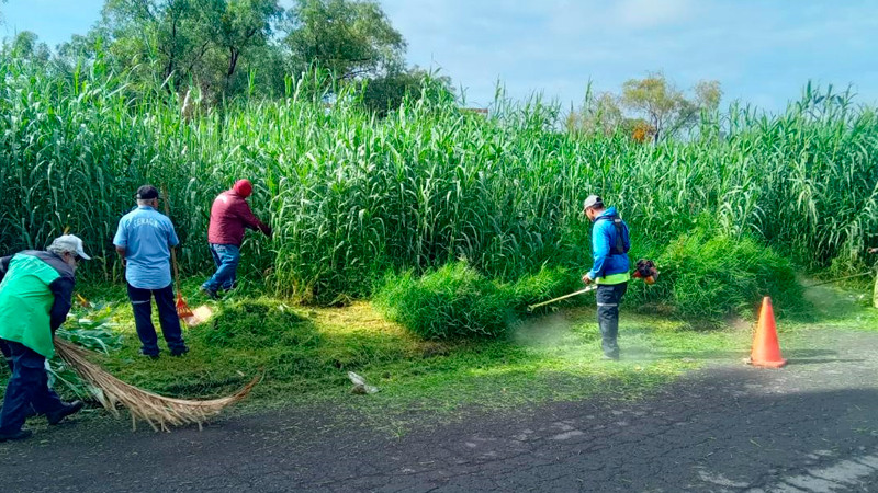 Gobierno de Morelia interviene el Río Grande para prevenir inundaciones y fauna nociva 