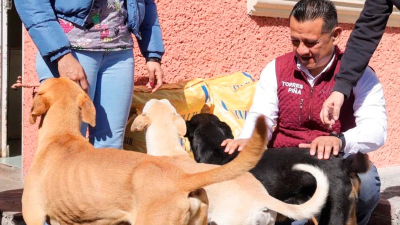 Animalistas se suman a respaldo a Carlos Torres Piña rumbo a la Fiscalía General de Michoacán 