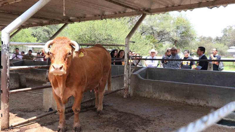 5 certificaciones que abren mercados internacionales a la Agroindustria 