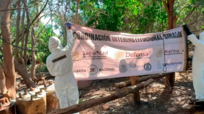 Desmantelan 6 laboratorios clandestinos y aseguran casi 5 toneladas de estupefacientes en Sinaloa 