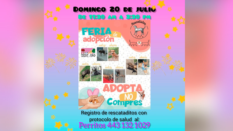 Rescatistas Independientes celebrarán Día Mundial del Perro con feria de adopción en Morelia 