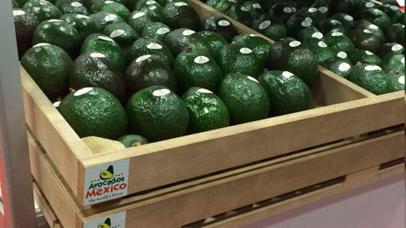 México firma Plan Operativo de Trabajo con Brasil; se consolida en el mayor productor de aguacate en el mundo 