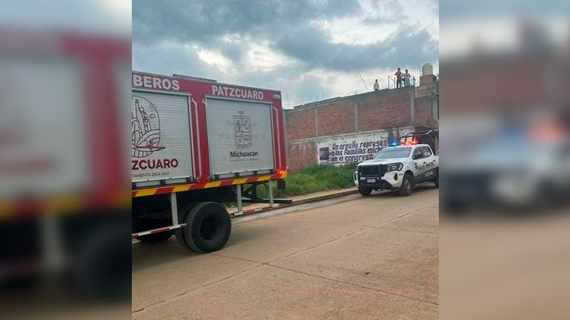 Buscan autoridades a puma que anda suelto en las calles de Pátzcuaro, Michoacán 