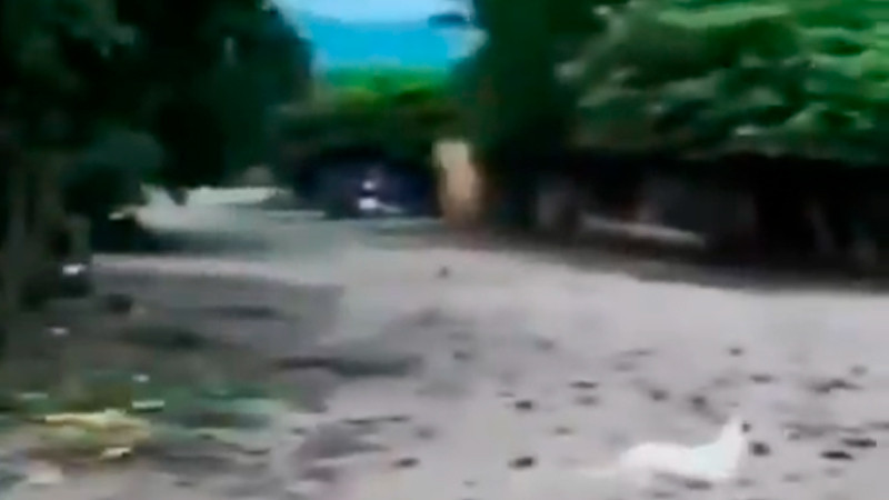 Observatorio de Seguridad Humana revela la cruda realidad de El Guayabo en Apatzingán 