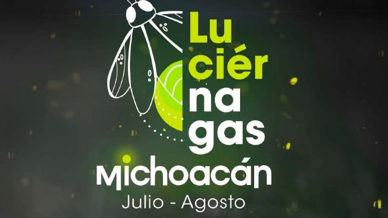 Disfruta la magia de las luciérnagas este verano en Michoacán: Sectur 