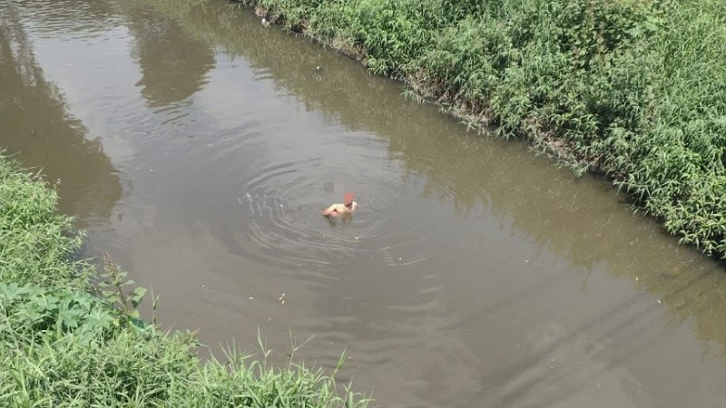 Rescatan sano y salvo a hombre que cayó por accidente al Río Grande de Morelia 