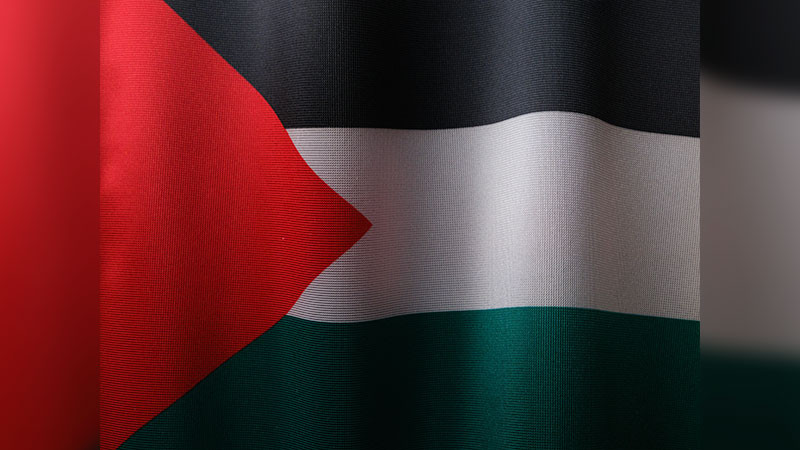 Detienen a 14 activistas propalestinos y comienzan huelga de hambre en Israel  