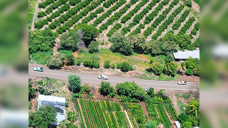 Operación Apatzingán: refuerzan estrategias disuasivas 