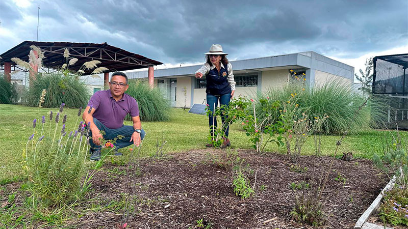 UMSNH pone en marcha proyecto de "Jardín para polinizadores", busca abonar en el cuidado del medio ambiente 
