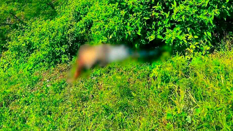 Hallan cadáver putrefacto en Carácuaro, Michoacán 