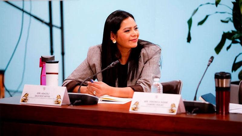 Araceli Saucedo reafirma su compromiso con el fortalecimiento del Consejo del Sistema Nacional de Búsqueda de Personas 