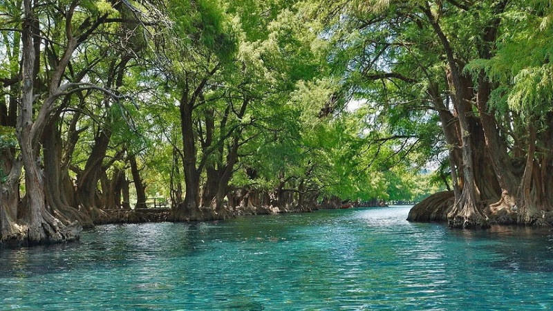 Escápate este verano al lago de Camécuaro, joya natural de Michoacán: Sectur 