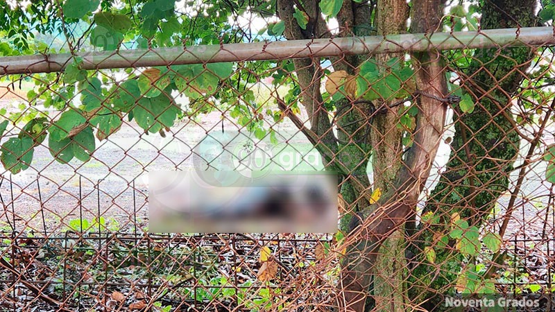 Hallan cuerpo sin vida de un hombre en la comunidad de La Cantera de Tangamandapio, Michoacán 