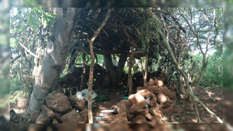 Desmantelan campamento delictivo y aseguran explosivos en Apatzingán, Michoacán 