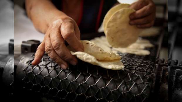 Se prevé un aumento en el precio de la tortilla para el 2017 