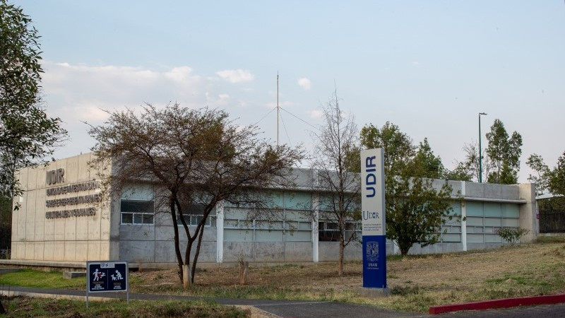 Migración sin derechos expone a las personas a ser víctimas de trata y tráfico 