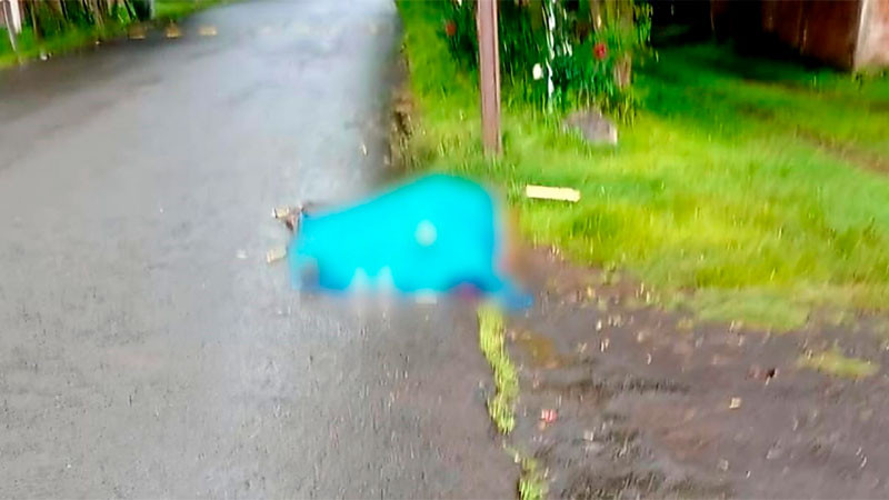 Ultiman a tiros a un individuo en Tangamandapio, Michoacán