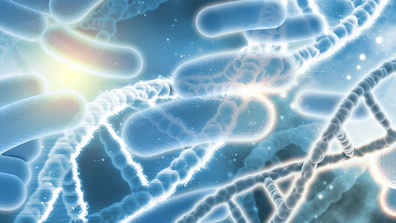 Reportan 3 muertos y 67 infectados por la bacteria Legionella pneumophila; se propagó por medio de torres de enfriamiento en Nueva York 