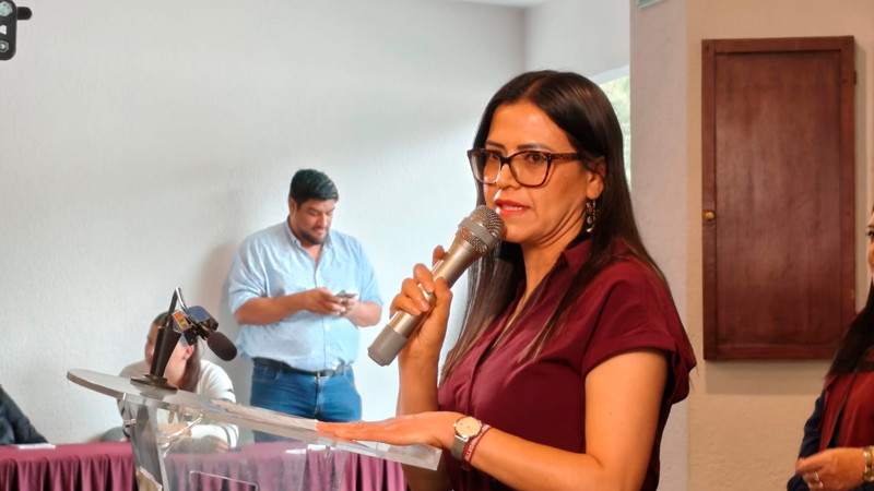 Morena Michoacán: No a la sanción por falsa paternidad 