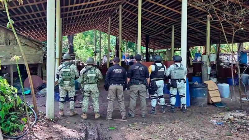 Aseguran 900 kilos de estupefacientes sintéticos y destruyen campamento en Chiapas 