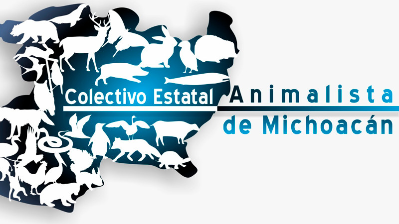 Activistas michoacanos claman al unísono castigo ejemplar contra guardia del ICATMI por brutal agresión a perrito 
