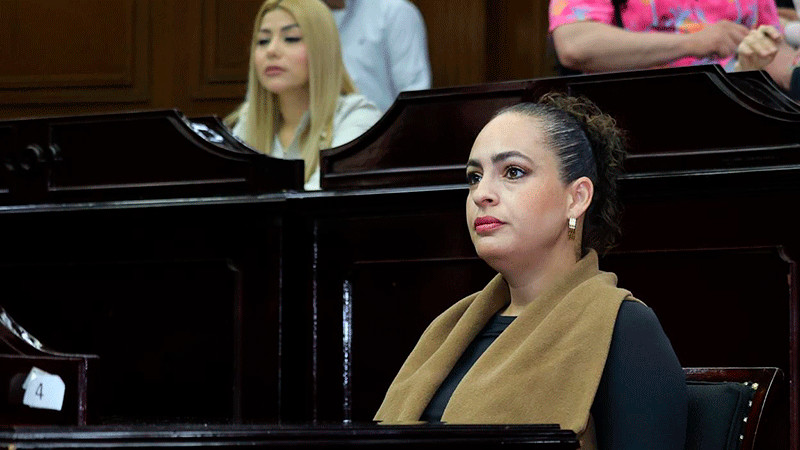 Sandra Arreola condena brutal agresión contra perrito en Michoacán y exige sanciones ejemplares 