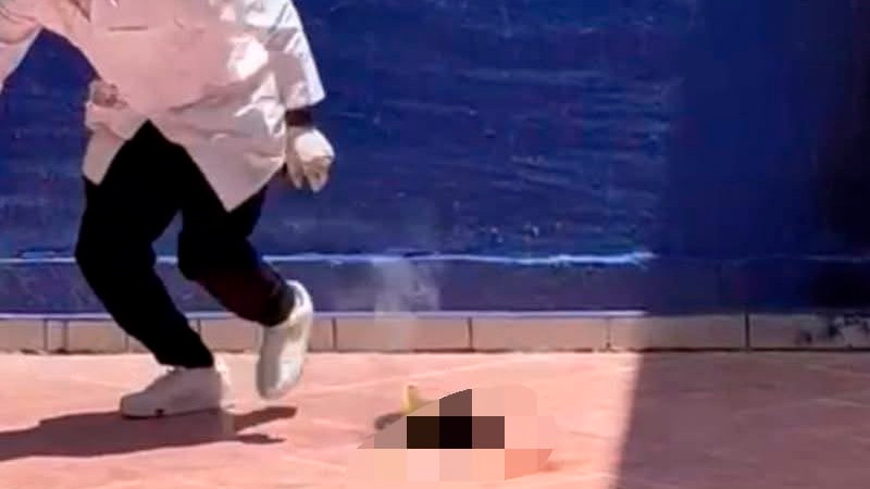 Fiscalía de Guanajuato investiga brutal acto contra un gato cometido por estudiantes durante prácticas en Pénjamo