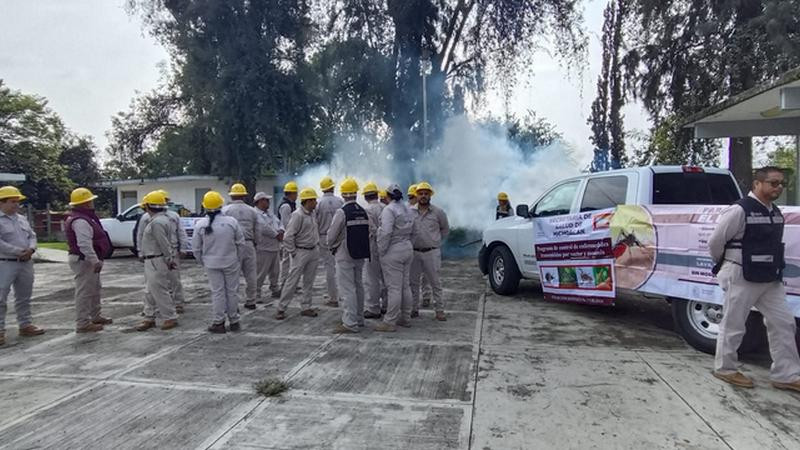 Intensifican acciones para erradicar el mosquito transmisor del dengue en Uruapan 