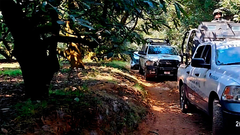 Encuentran cuerpo sin vida de un individuo en una huerta en la comunidad La Escondida de Tingambato, Michoacán 